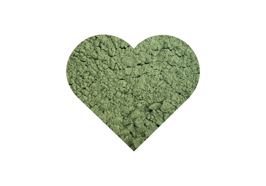 MICA Rainforest