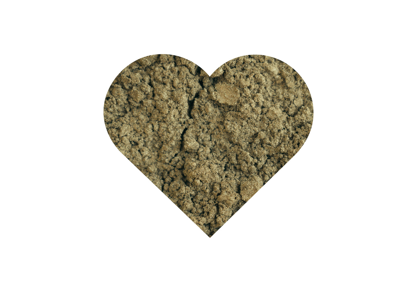 MICA Golden Olive
