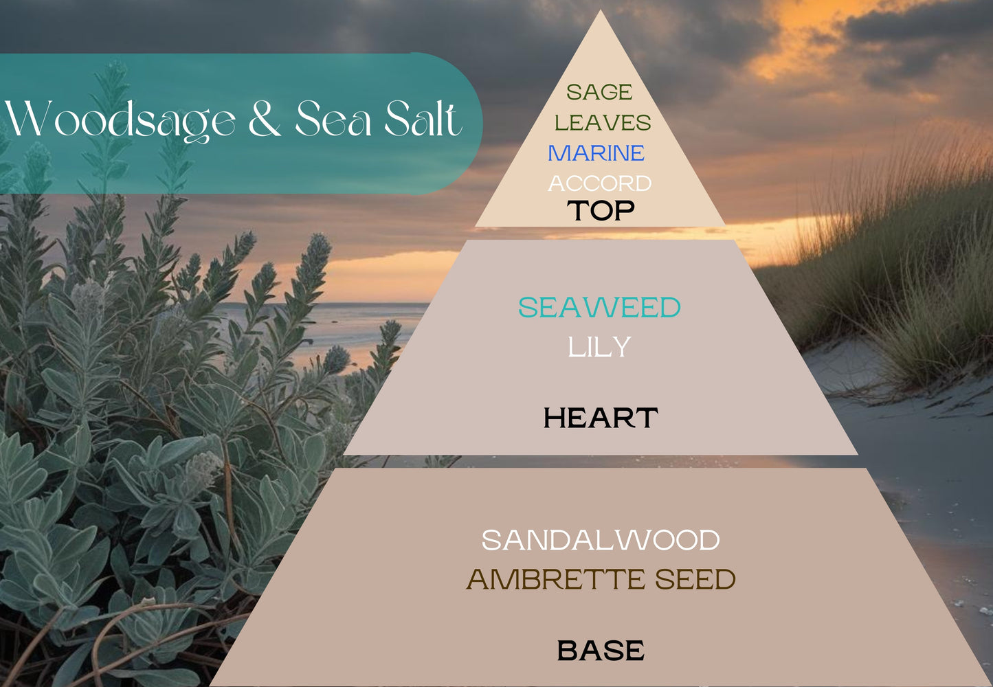 Woodsage & Sea Salt Fragrance Oil