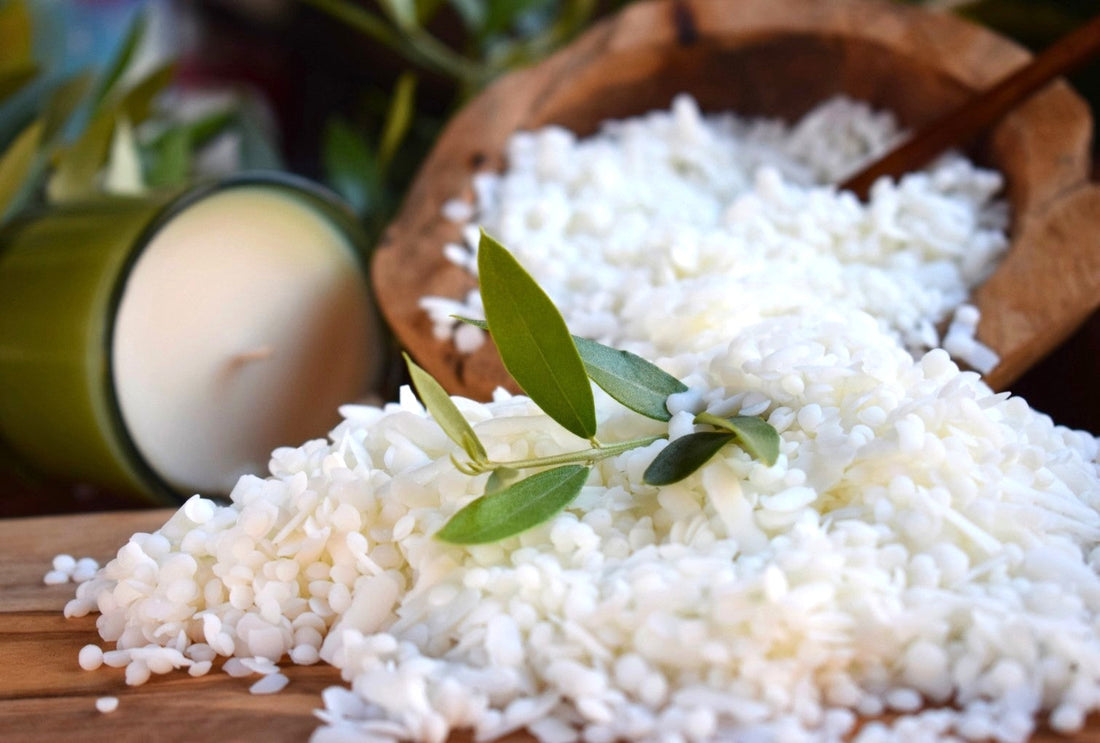 Guía Definitiva de Ceras Vegetales: ¿Cuál elegir para tus velas?