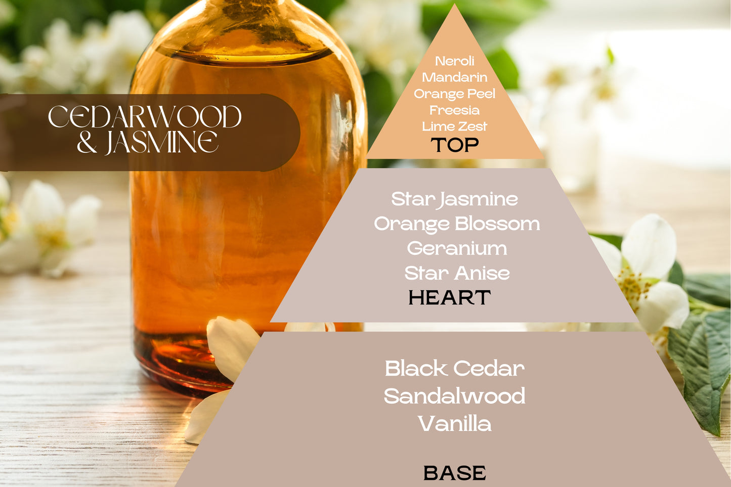 Fragancia CEDARWOOD & JASMINE