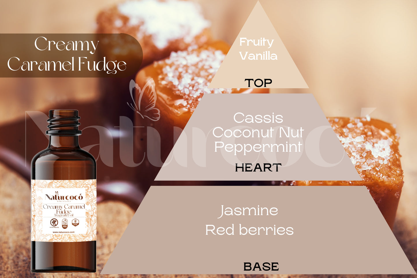 Naturcocó's Selection: Festive Moments 