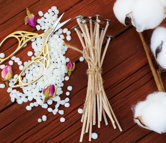 NOVEDAD: TCR series NATURAL