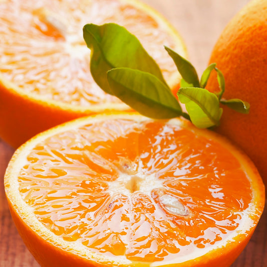 Fragancia JUICY ORANGE