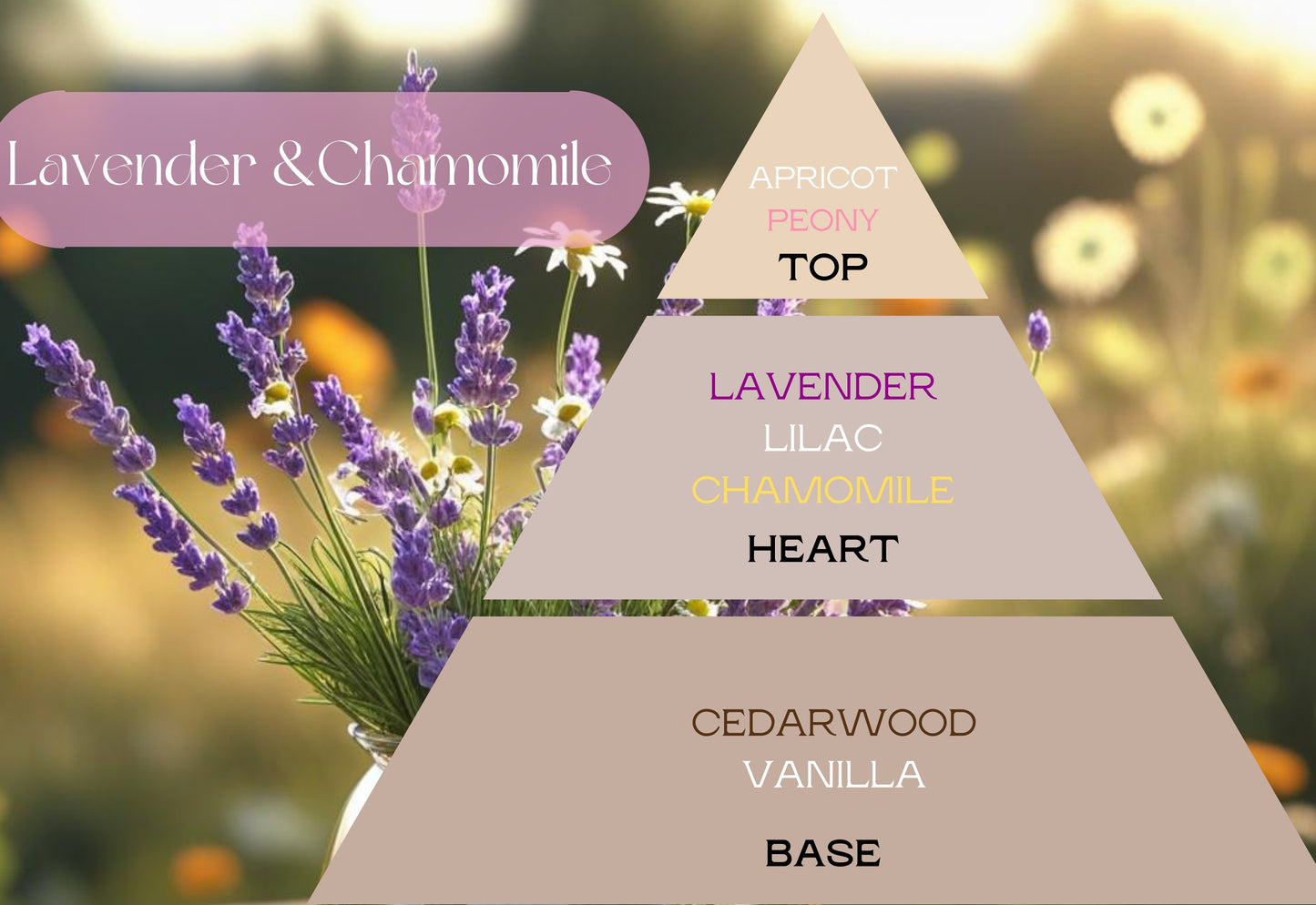 Naturcocó´s Selection: Scents of Nature