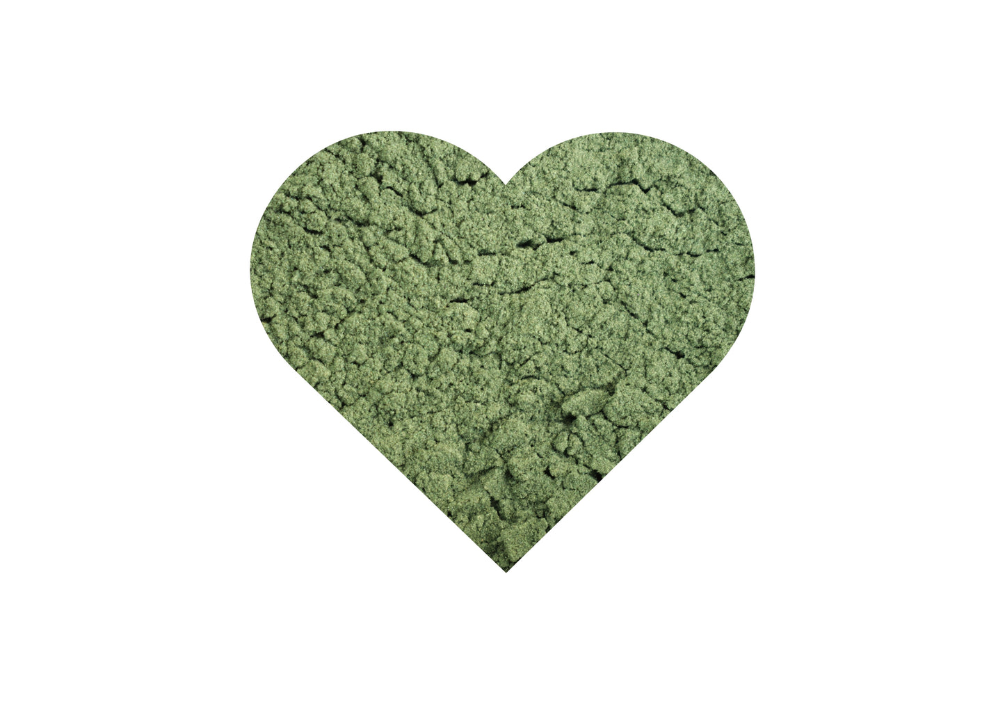 MICA Rainforest