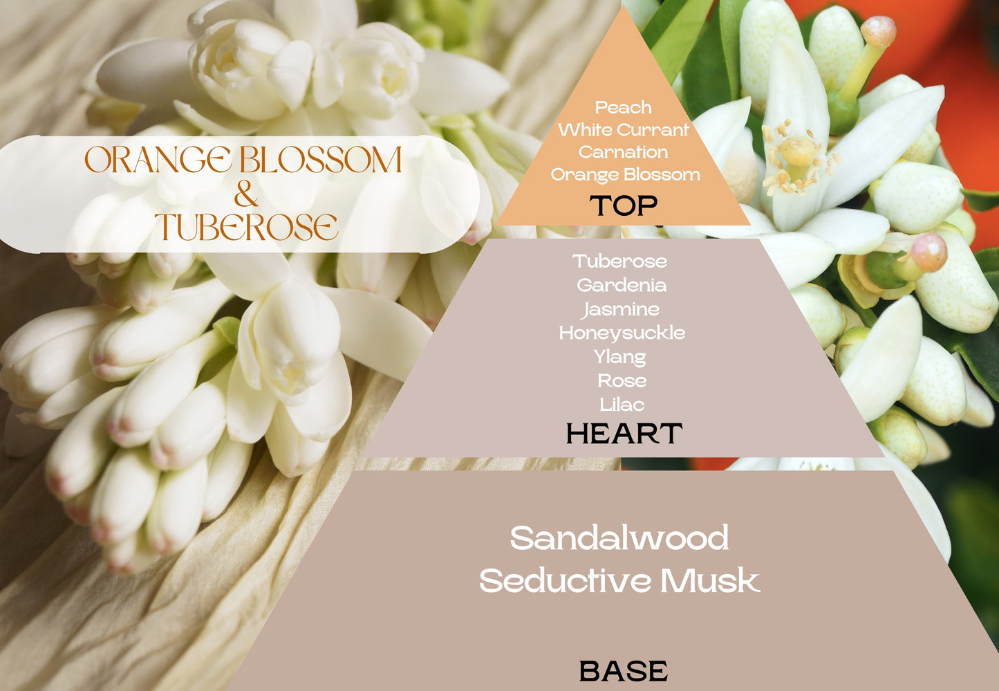Fragancia ORANGE BLOSSOM & TUBEROSE