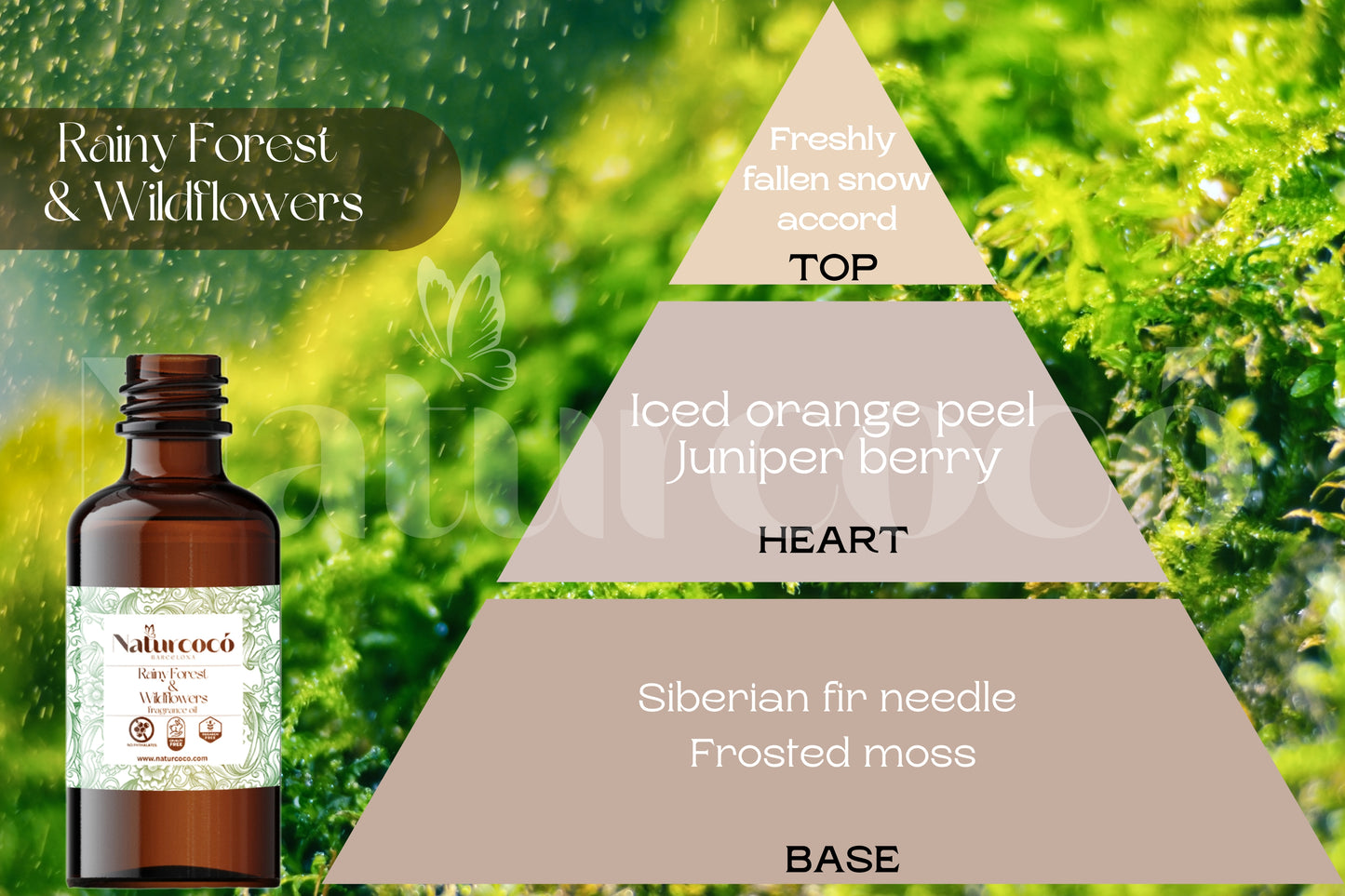 Rainy Forest & Wildflowers Fragrance Oil