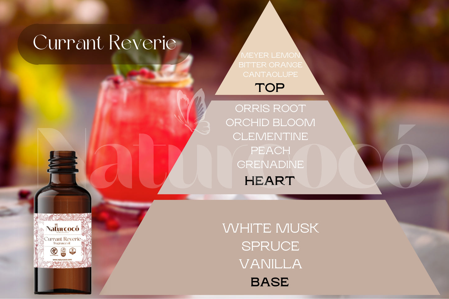Naturcocó's Selection: Exotic Scents 