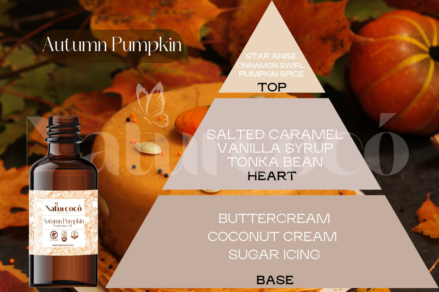 Naturcocó's Selection: Festive Moments 