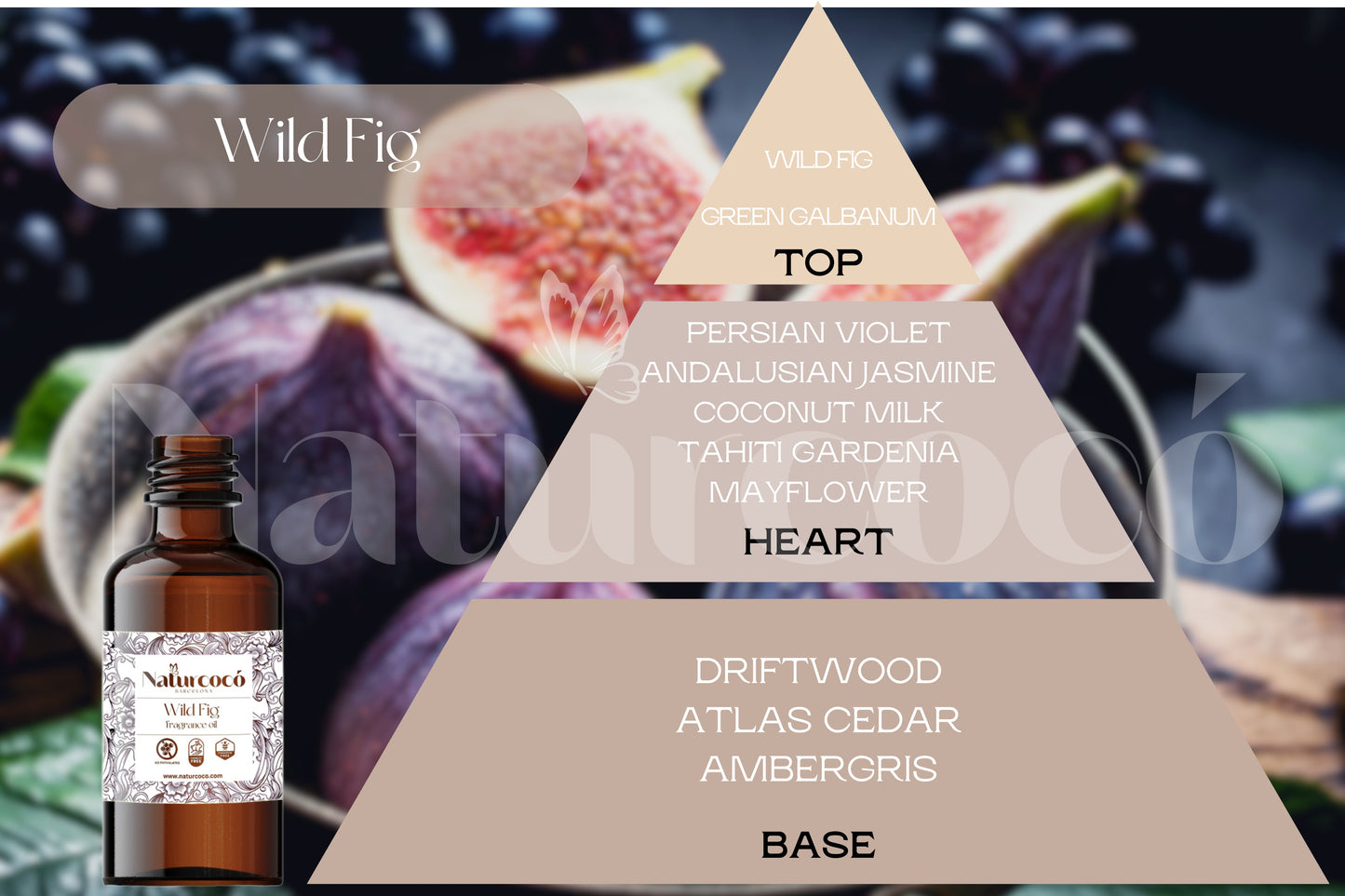 Naturcocó's Selection: Exotic Scents 