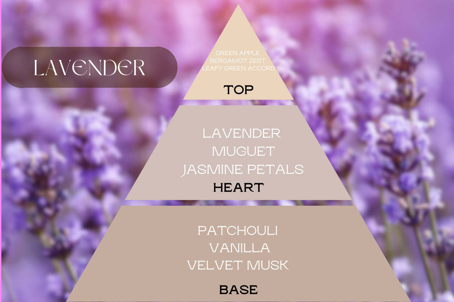 Fragancia LAVENDER (NEW)