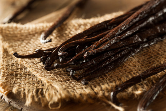 Fragancia VANILLA BEAN (NEW)