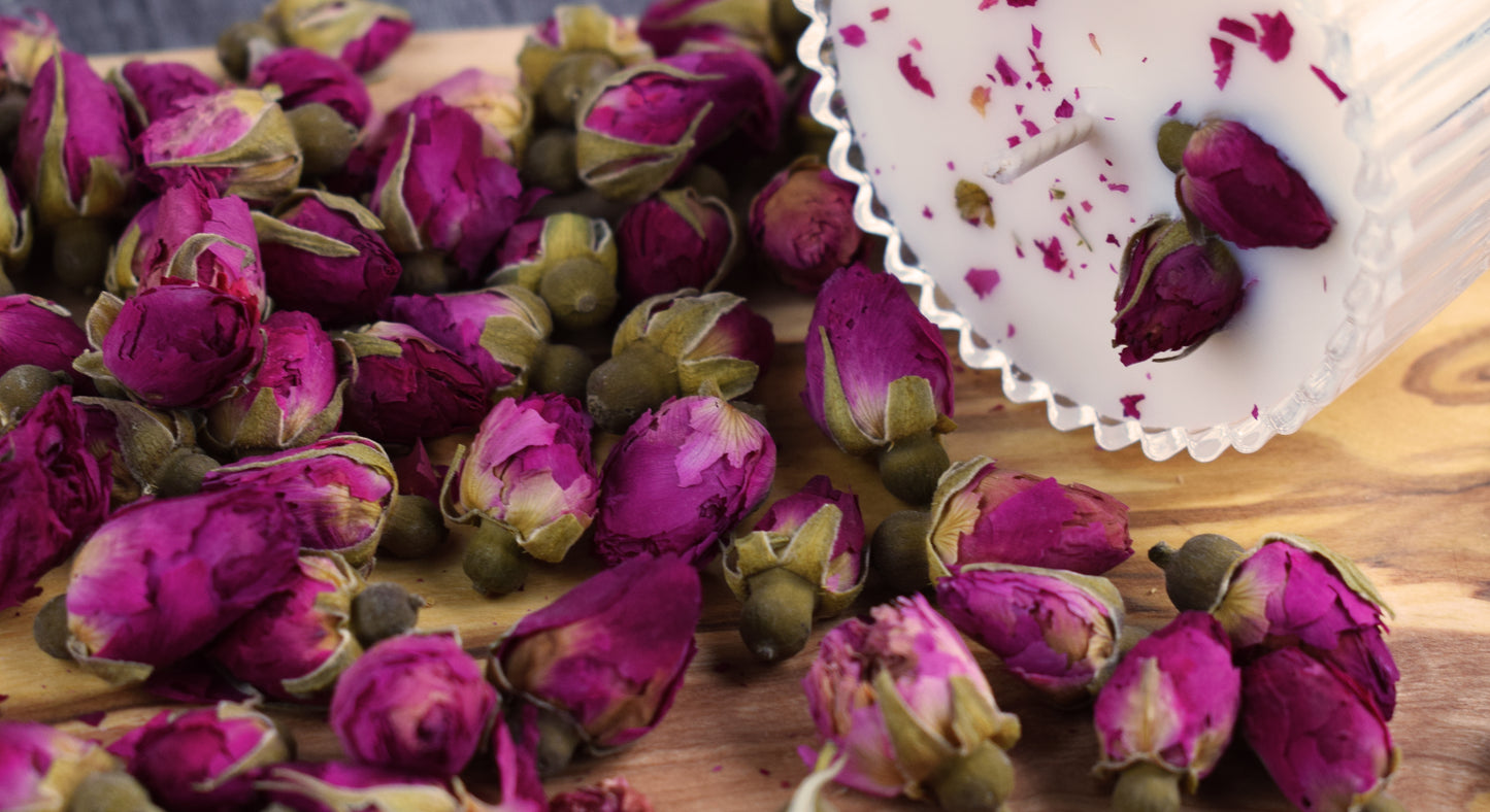 Brotes de Rosas Púrpura