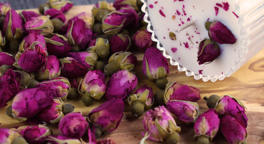 Brotes de Rosas Púrpura