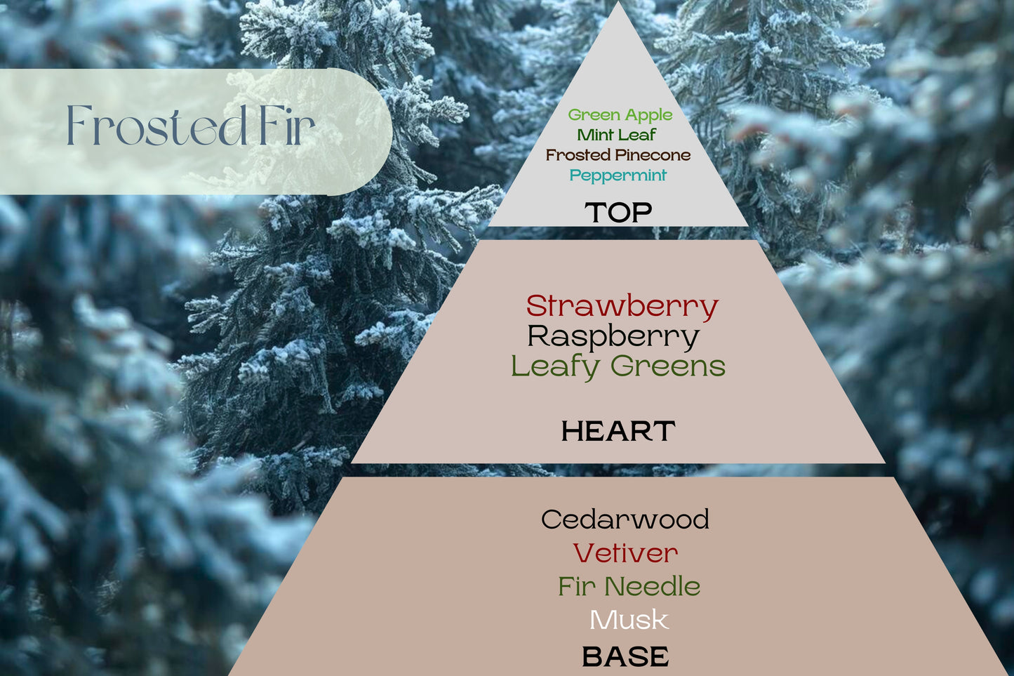 Fragancia Frosted Fir