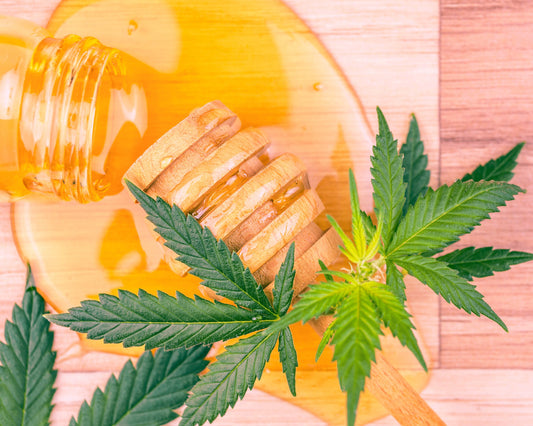 Fragancia HEMP LEAVES & MANUKA HONEY