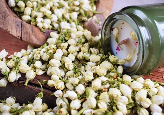 Brotes Flor de Jazmín