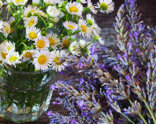 Fragancia LAVENDER & CHAMOMILE (UFI free)