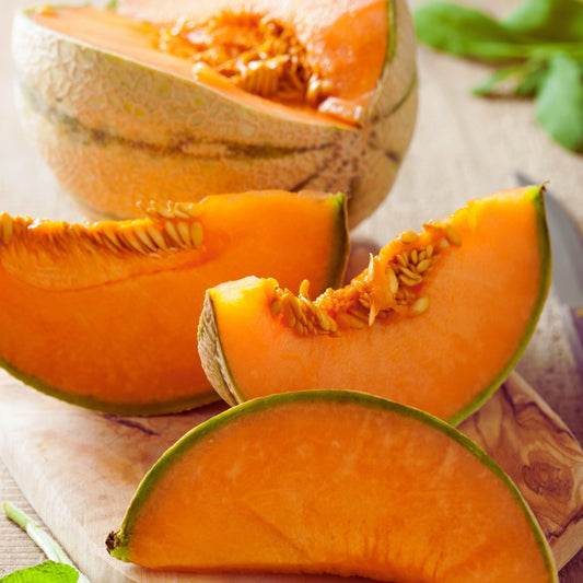 Fragancia CANTALOUPE MELON