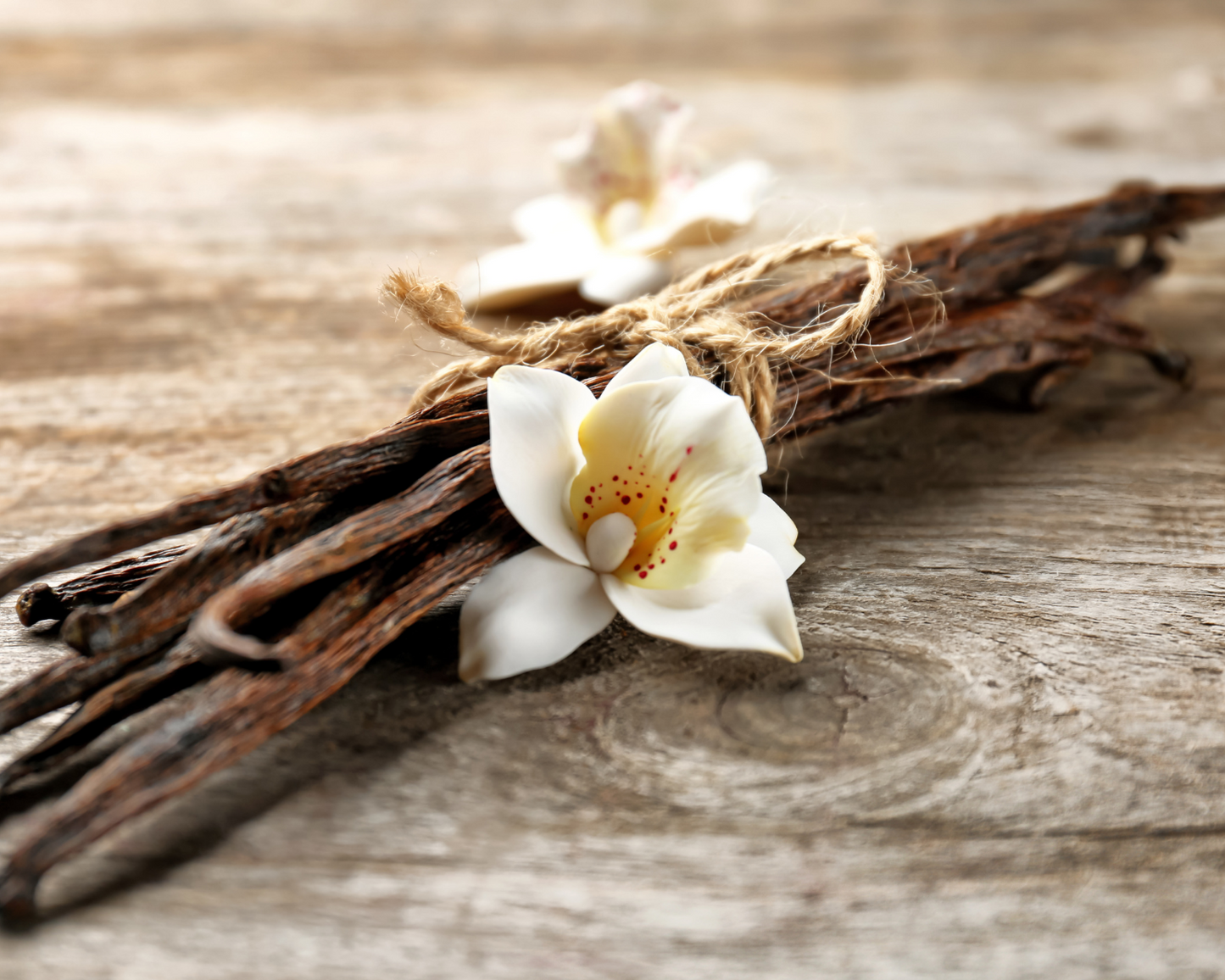 FRENCH VANILLA (NEW) Fragrance Oil